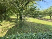 Zalaegerszeg Nyaraló