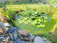 Alsórajk Családi ház