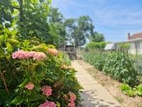 Csesztreg Családi ház