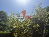 Zalaegerszeg Családi ház