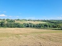 Eladó telek Zalaegerszeg, 9998m2