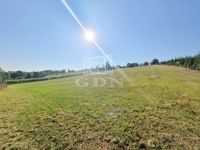 Eladó telek Zalaegerszeg, 9998m2