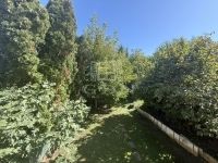 Zalaegerszeg Családi ház