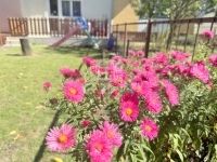 Zalaegerszeg Sorház