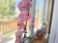 Zalaegerszeg Sorház