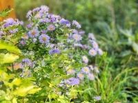 Babosdöbréte Családi ház