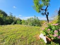 Zalaegerszeg Családi ház