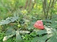 Zalaegerszeg Családi ház