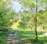 Zalaegerszeg Családi ház