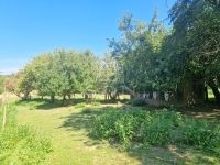 Tófej Családi ház