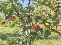 Egervár Családi ház