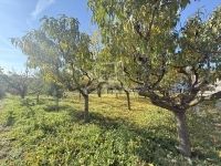 Egervár Családi ház