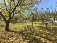 Egervár Családi ház