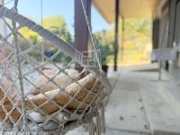 Egervár Családi ház