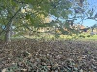 Teskánd Családi ház