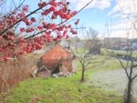 Szilvágy Családi ház