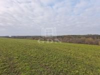 Szilvágy Családi ház