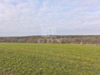 Szilvágy Családi ház