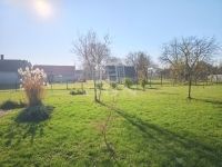 Petrikeresztúr Családi ház