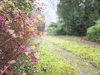 Gellénháza Családi ház