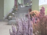 Zalaegerszeg Lakás (téglaépítésű)