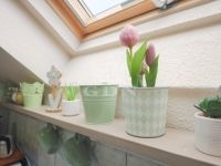 Zalaegerszeg Lakás (csúsztatott zsalu)