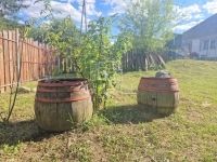 Mikosszéplak Családi ház