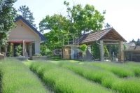 Eladó családi ház Karád, 190m2