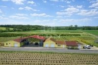 Eladó mezőgazdasági terület Balogunyom, 65000m2