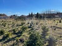 Eladó telek Baracska, 6846m2