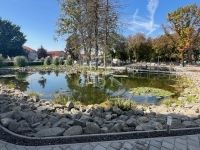 Szigetszentmiklós Lakás