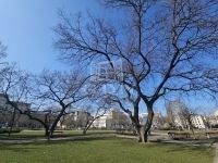 Budapest VIII. kerület Lakás