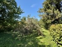 Eladó telek Diósd, 2858m2