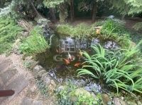 Budapest XXII. kerület Családi ház