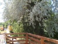 Budapest XXIII. kerület Családi ház