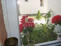 Budapest XX. kerület Házrész