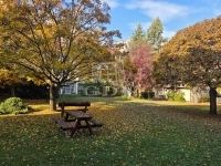 Budapest IV. kerület Lakás