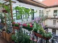 Budapest VII. kerület Lakás