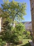 Budapest XIII. kerület Lakás