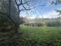 Nemespátró Családi ház