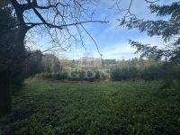 Nemespátró Családi ház