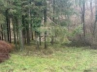 Nemespátró Családi ház