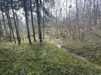 Nemespátró Családi ház