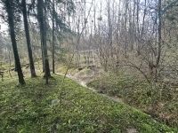 Nemespátró Családi ház