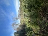 Nemespátró Családi ház