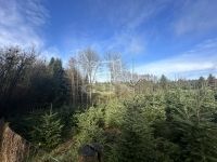 Nemespátró Családi ház