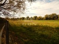 Kaposvár Vendéglátás