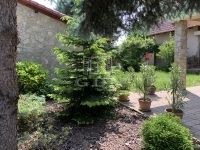 Komárom Családi ház