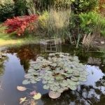 Komárom Családi ház