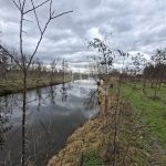 Nagyigmánd Mezőgazdasági terület